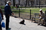Woman Goes for Run in Central Park, Nobody Prepared for What She Sees