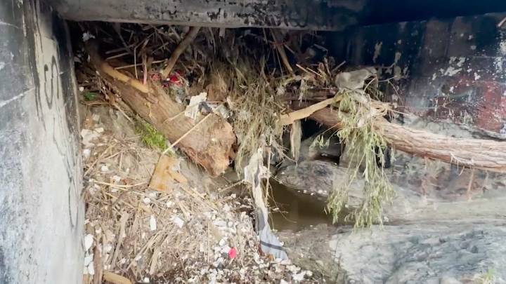 Temen a puente peatonal del oriente de Saltillo; invaden paso basura y maleza