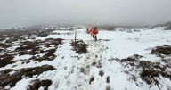 'Unprepared' hikers rescued after bushwalker dies