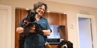 Cómo los perros de terapia promueven la salud física y emocional de pacientes en centros médicos