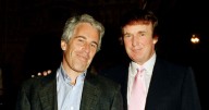 Massive Epstein files bombshell as 33,295 pages of investigation files released