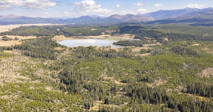 Hiker injured in Yellowstone National Park’s first bear attack in four years