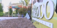 Friends of the Louisville Zoo announce ‘Skelebration’ Halloween event for adults