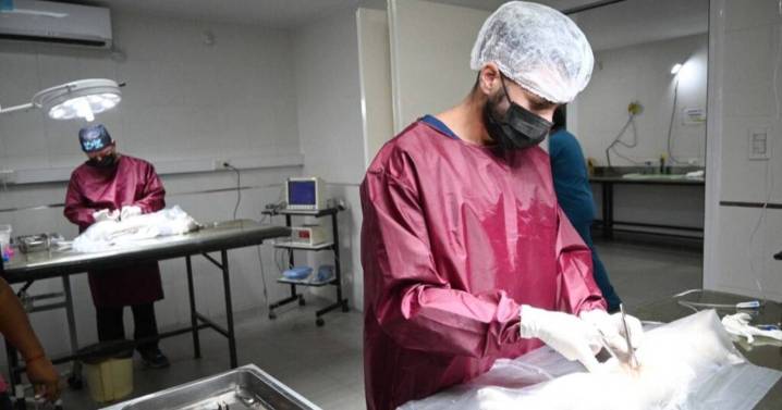 Vuelve la Campaña de Castración Masiva en los Centros de Zoonosis