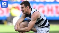 AFL grand final quick hits: Lions' Lachie Neale gamble pays off, Cats' Jeremy Cameron in the wars, and it's Country Road time at the MCG