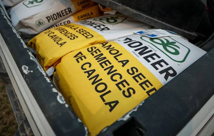 Carney's $370M canola incentives are missing the mark, says industry group president