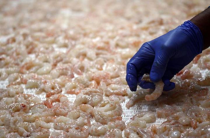 FDA Issues Recall on Imported Frozen Shrimp, Tested Radioactive