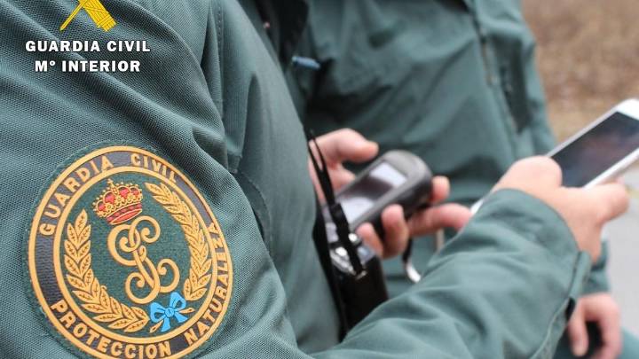 Detenido un vecino de A Coruña como responsable de un incendio forestal en agosto