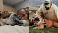 Formula 1 legend Lewis Hamilton mourning death of beloved dog Roscoe