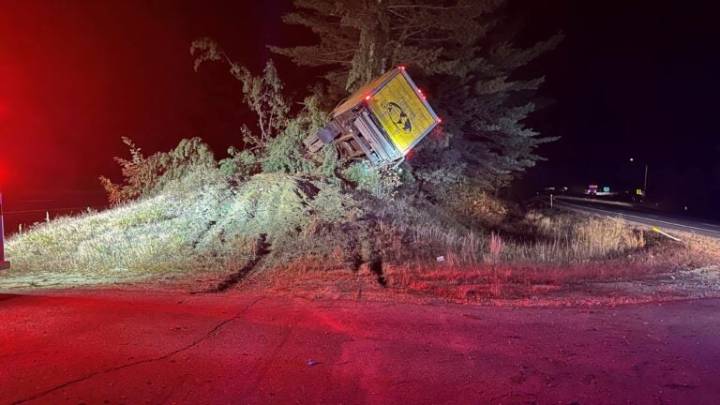 N.H. police investigating crash that ‘launched’ truck into trees