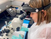 Universidades paisas se sumaron a gigantesco proyecto para combatir la malaria en Colombia con inteligencia artificial