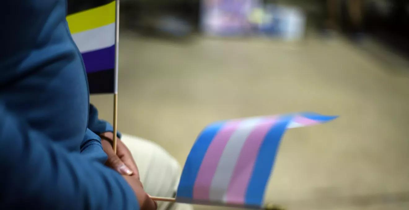 Denton County Rep. Wants to Institutionalize Transgender People