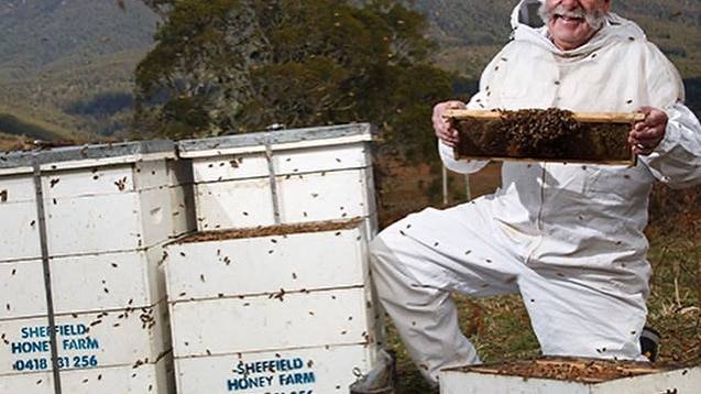Beekeepers in Tasmania see red tape slashed