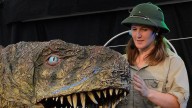 Dinosaurs and science fun to take over Joondalup next month