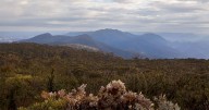 Man found dead almost 24 hours after plane crashes over Budawang National Park