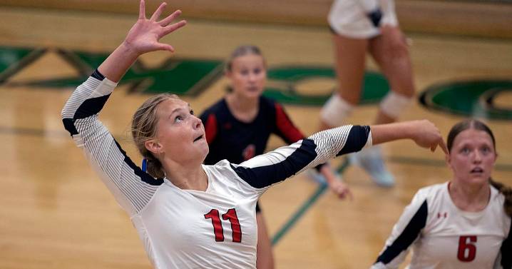 Erie-Prophetstown volleyball moves to 10-2 after win at Rock Falls – Shaw Local