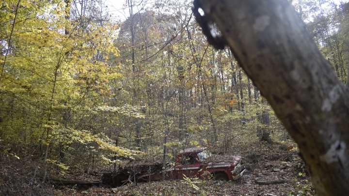 Green's Bluff nature preserve expands from new land donation