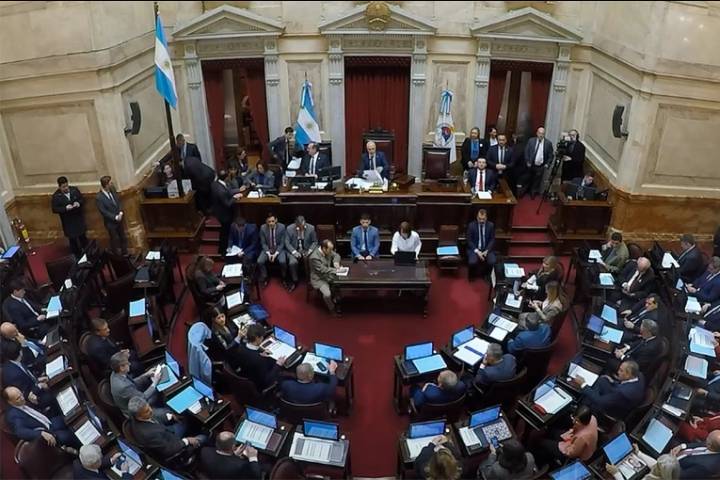 Senado alcanzó el quórum y sesiona para rechazar veto a la Emergencia en Discapacidad