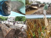Alertan de vulnerabilidad de El Salvador al cambio climático