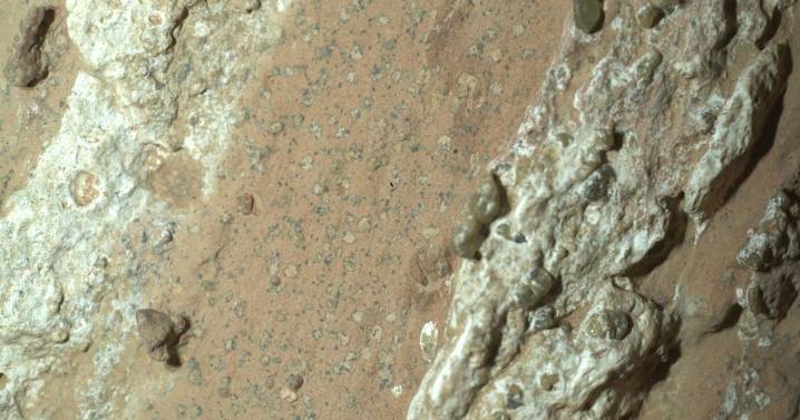 Martian rock contains ‘clearest sign’ yet of ancient life on Mars, NASA says