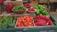 Maine SNAP-Ed program to shut down in September 2025