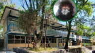 Era muy raro, me daba un poquito miedo: así describen sus compañeros a Lex Ashton, estudiante que asesinó a su compañero en el CCH Sur