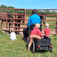 Lovina's Amish Kitchen: Son Kevin writes the column