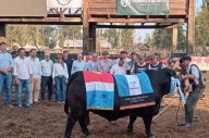 Las razas brillaron en la ExpoBra: genética de excelencia y un remate récord de 16.000 cabezas