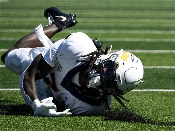 Toledo PFF grades: McNeil-Warren among nation's best on defense