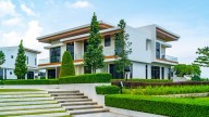 The Budget-Friendly Shrub That Makes Your Home Entrance Hedge Look High End