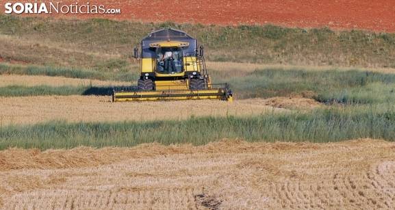 Una cosecha casi récord impulsa al campo de Castilla y León pese a la amenaza de los bajos precios