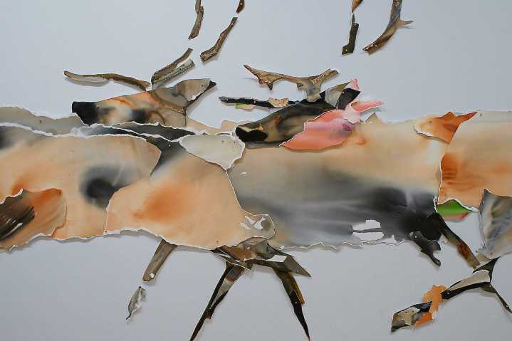 SJIMA fall exhibits