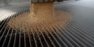 Crecieron 6% las exportaciones agroindustriales