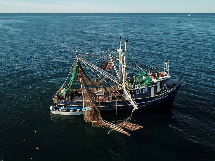 Impone EU embargo comercial contra 21 pesquerías de alto riesgo de México
