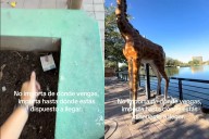 Tiktoker juarense se hace viral por regalar dinero; lo deja en plazas y parques