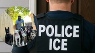 ICE no perdona a nadie: así arrestó a un adiestrador de perros en Texas (hay enojo con la agencia)
