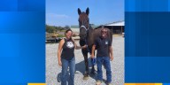Original member of Knoxville Police Department’s Mounted Patrol Unit retires due to medical condition
