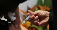 Mist opportunities: nasal spray to boost flu immunity