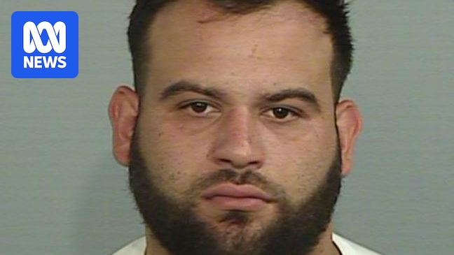 Bilal Hamze murder trial hears a Sydney crime boss allegedly offered $1m for rival's murder