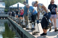 Bay's oysters set to stage a comeback from this seafood processing site