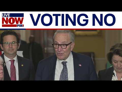 Democratic Senate leaders speak on shutdown, 'healthcare cliff'