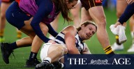 Geelong Cats vs Hawthorn Hawks: Tom Stewart concussed in the preliminary final