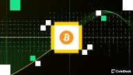 Corporate Bitcoin Buying Slows in August as Treasuries Add $5B