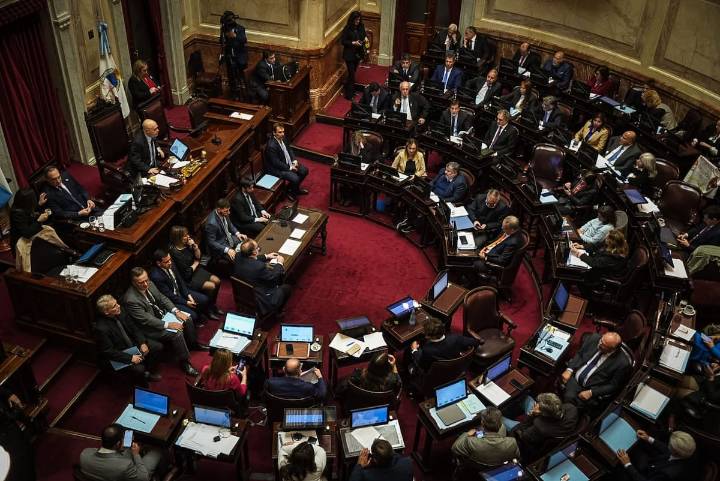 Sesión bisagra en el Senado. La oposición se encamina a sostener la ley de discapacidad y limitar los DNU