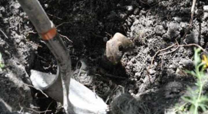 Hallan fosa clandestina en Guanajuato; Fiscalía recupera 17 cuerpos