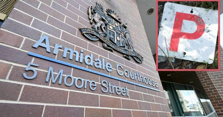 Country driver's licence loss a 'life ruiner' court hears