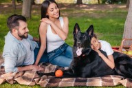 Protege a tu familia y mascotas de la rabia antes de que sea tarde 