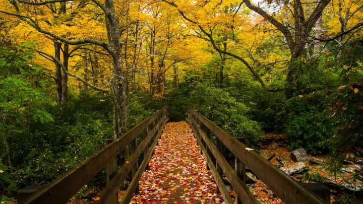 When is the first day of fall 2025? What the NC…