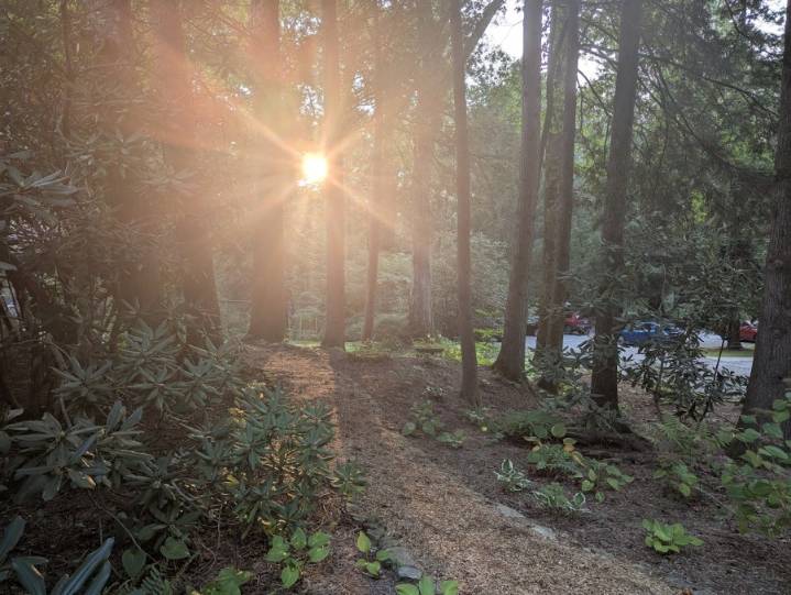 St. John in the Wilderness opens new scenic trails for hikers