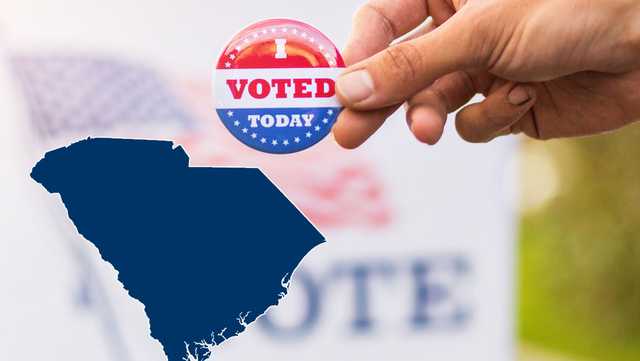 South Carolina election director fired